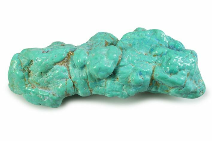 Polished Chilean Turquoise ( grams) Nugget #358817